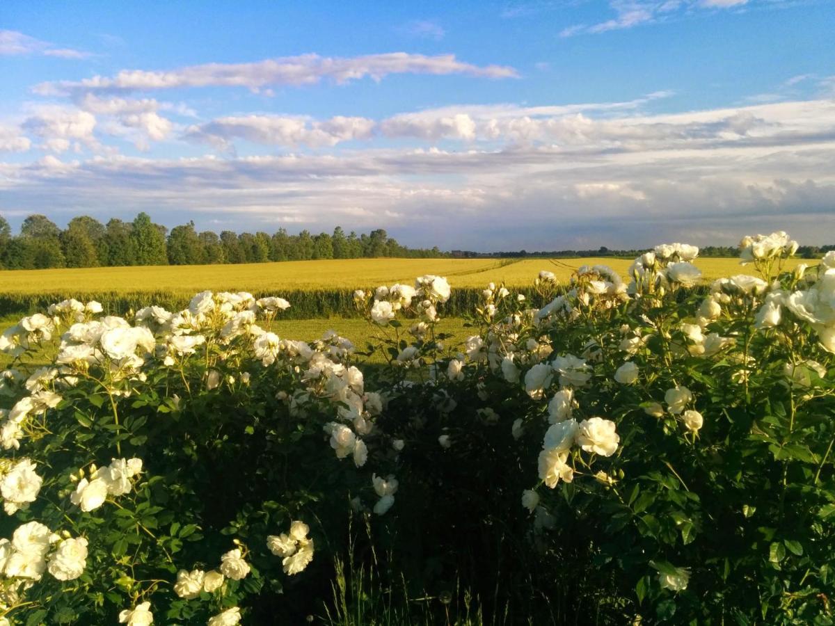 Antica Vigna Panzió Chioggia Kültér fotó